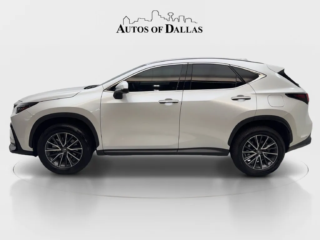 Lexus NX photo 11