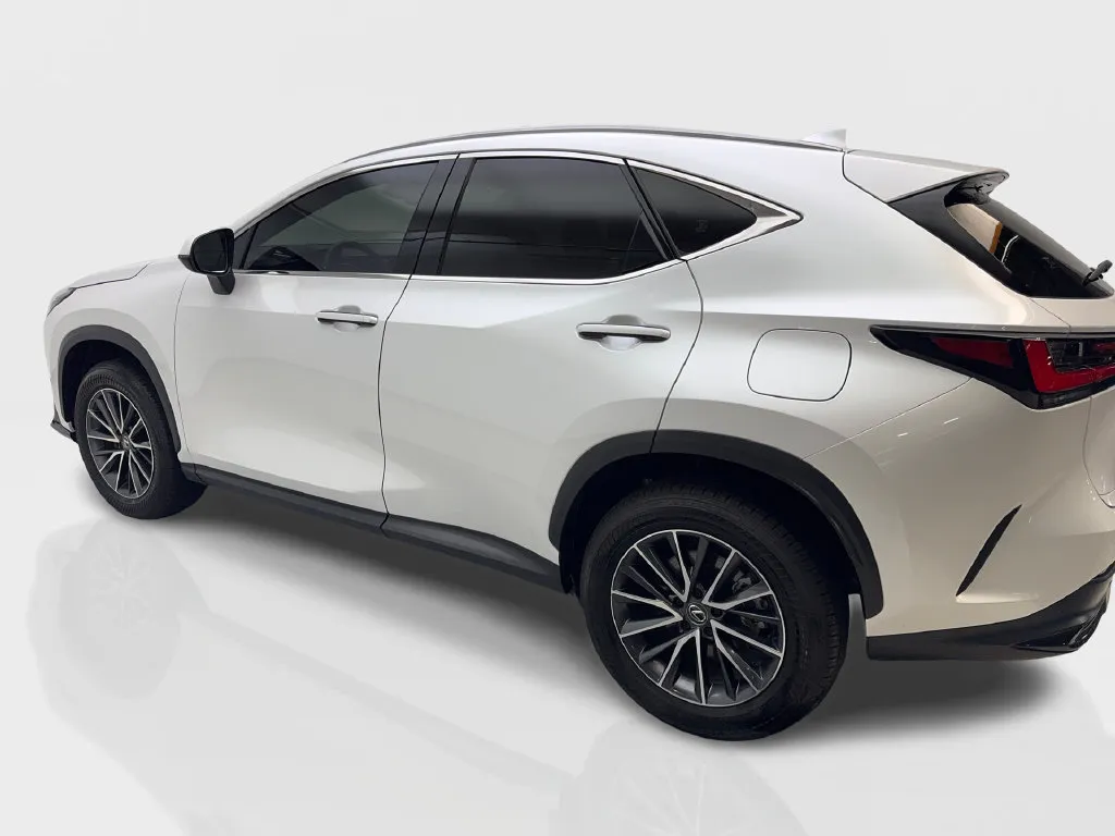 Lexus NX photo 15