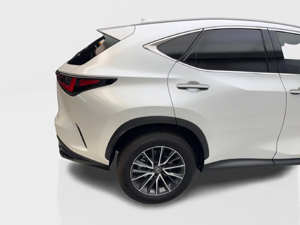 Lexus NX photo 18