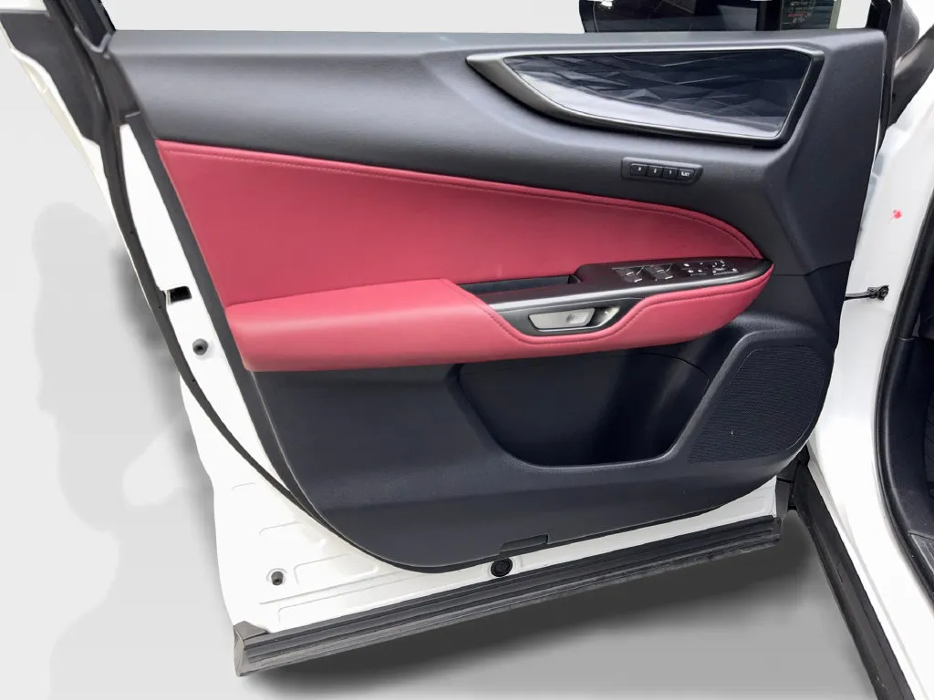 Lexus NX photo 32