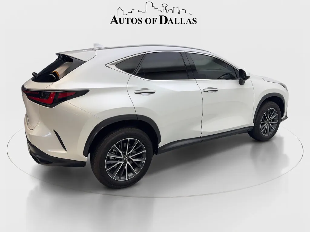 Lexus NX photo 7