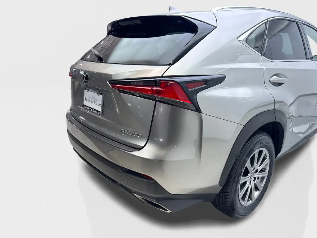 Lexus NX photo 20