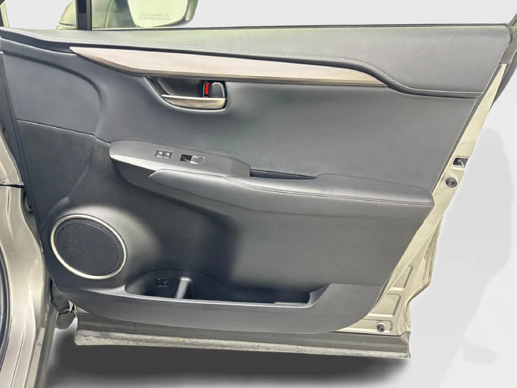 Lexus NX photo 50