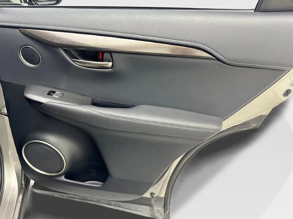 Lexus NX photo 44