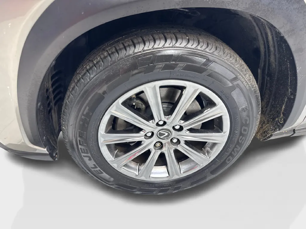 Lexus NX photo 90