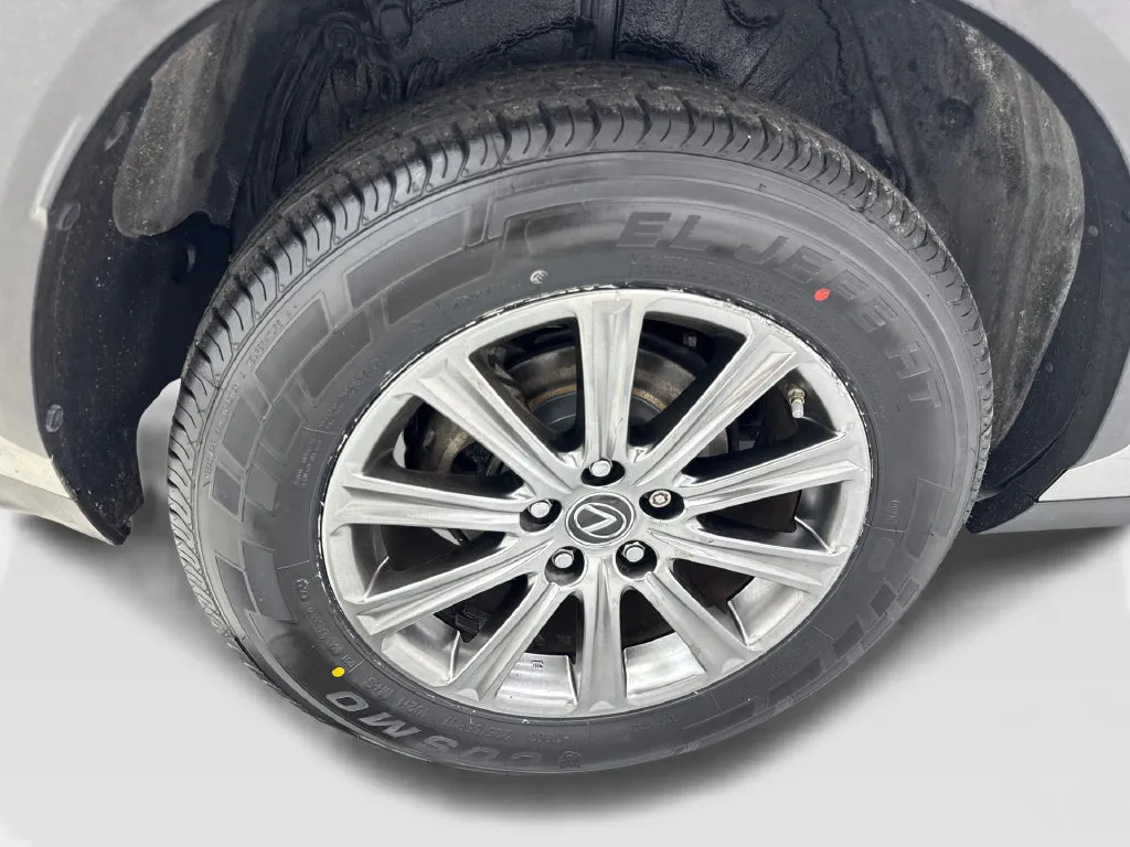 Lexus NX photo 88
