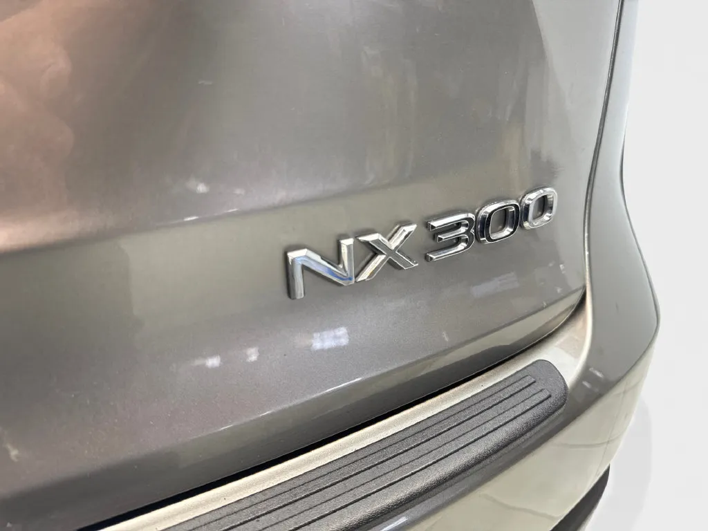 Lexus NX photo 25