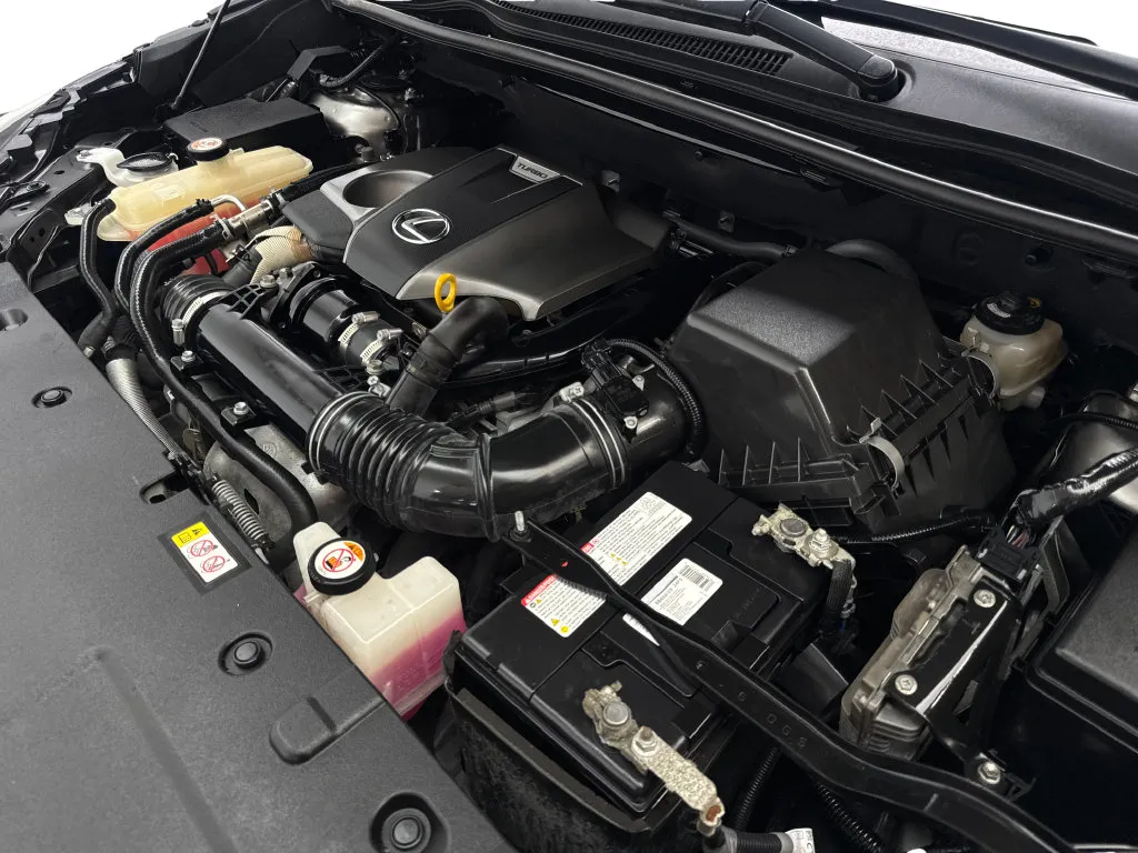 Lexus NX photo 78