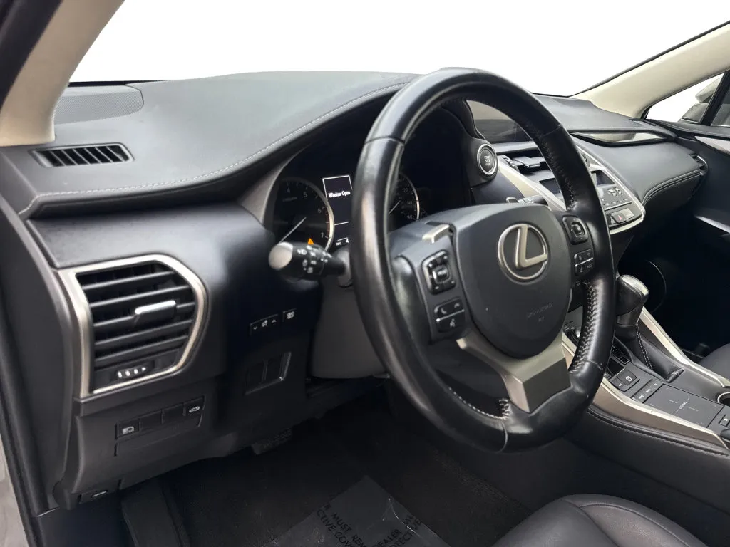 Lexus NX photo 52
