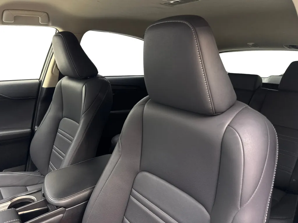 Lexus NX photo 29