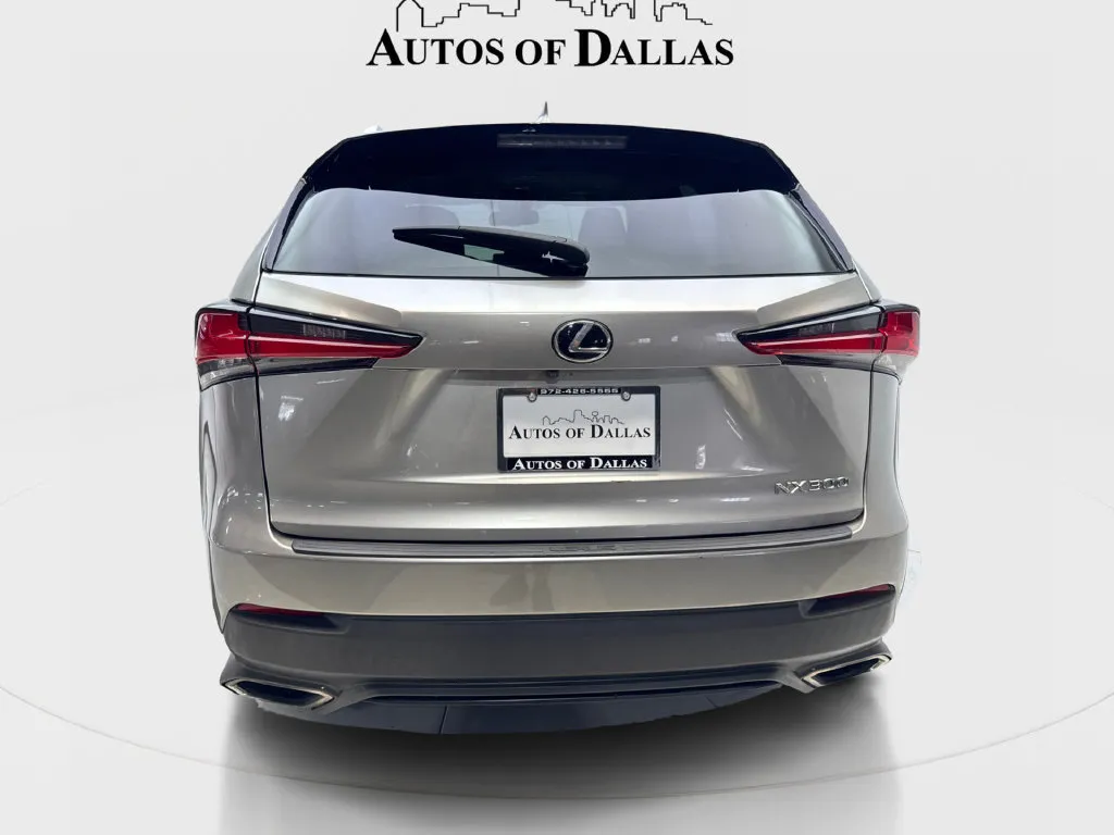 Lexus NX photo 8