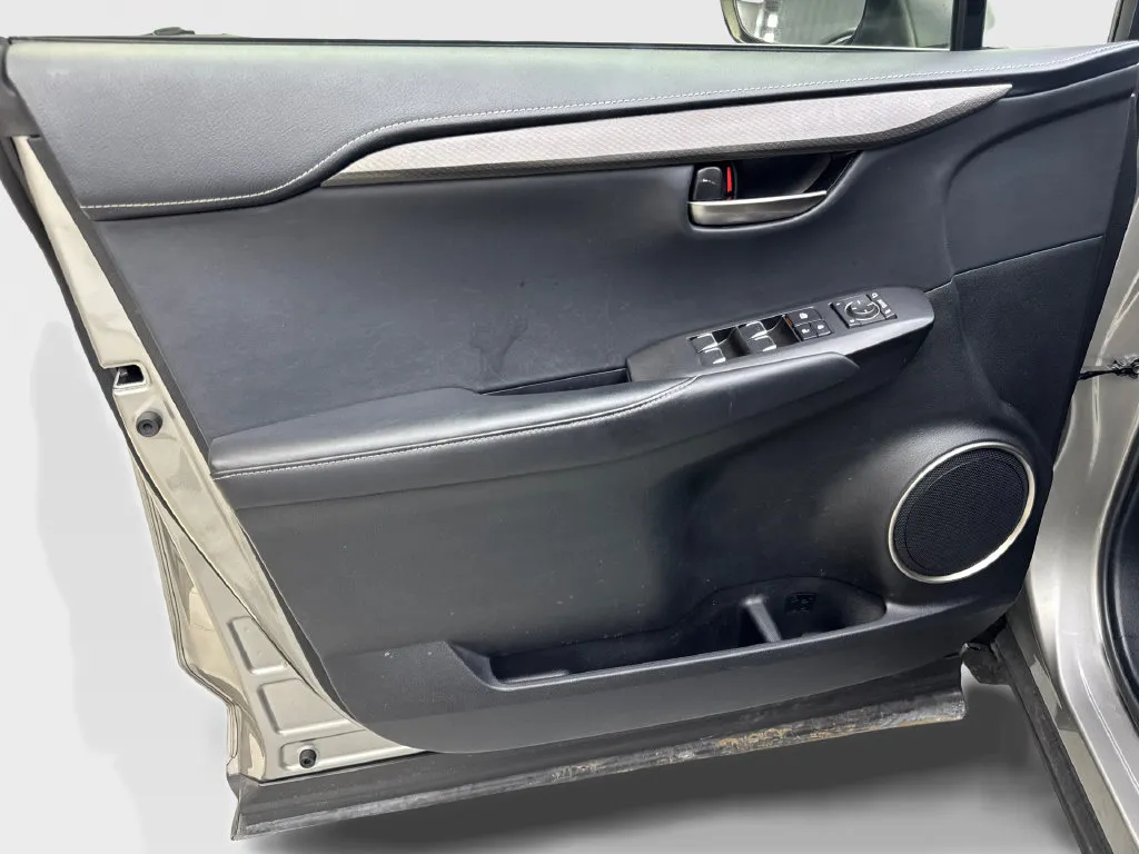 Lexus NX photo 33