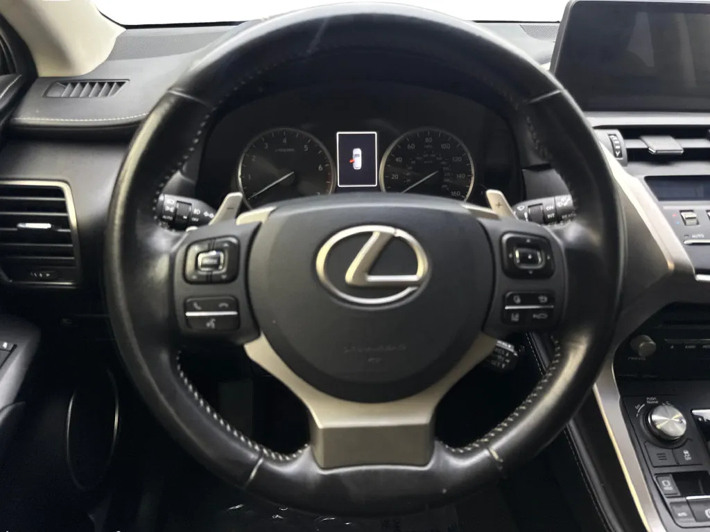 Lexus NX photo 58