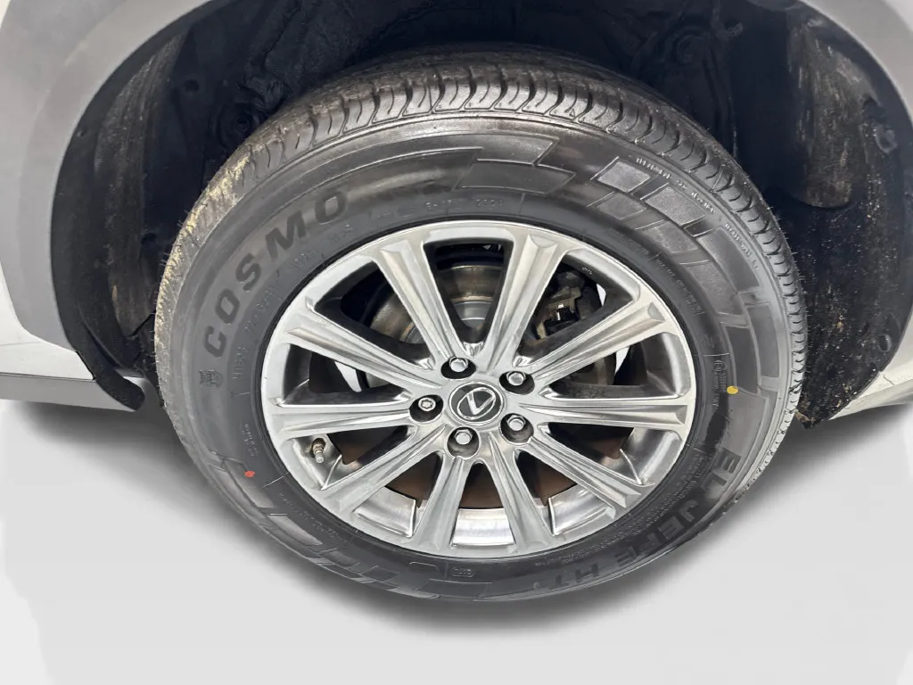 Lexus NX photo 89