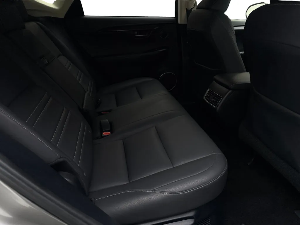 Lexus NX photo 41