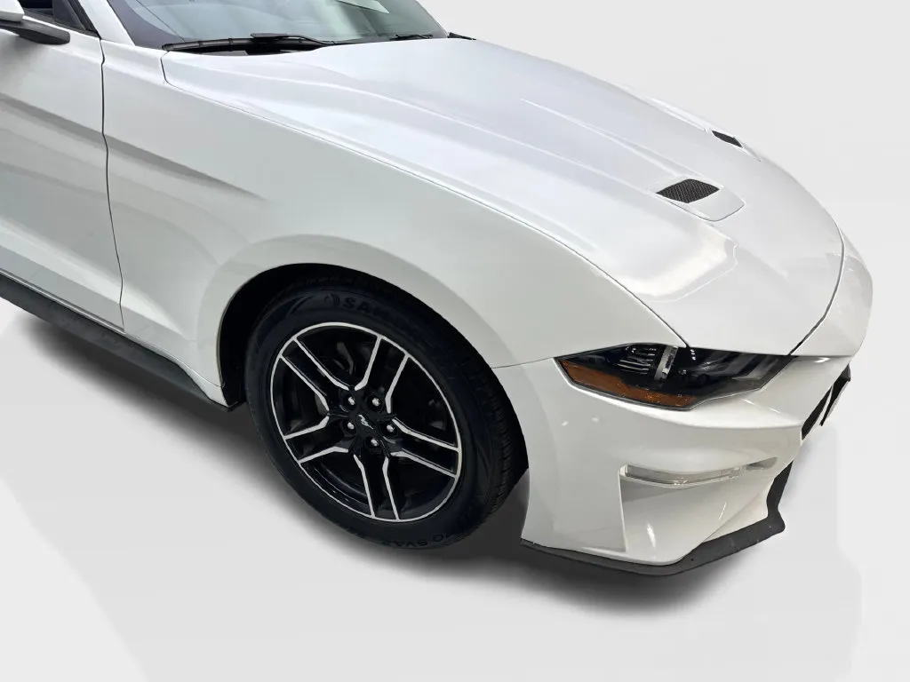 Ford Mustang photo 20