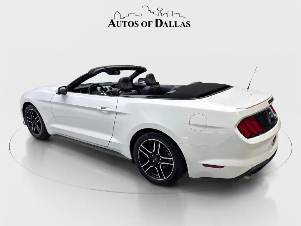 Ford Mustang photo 12