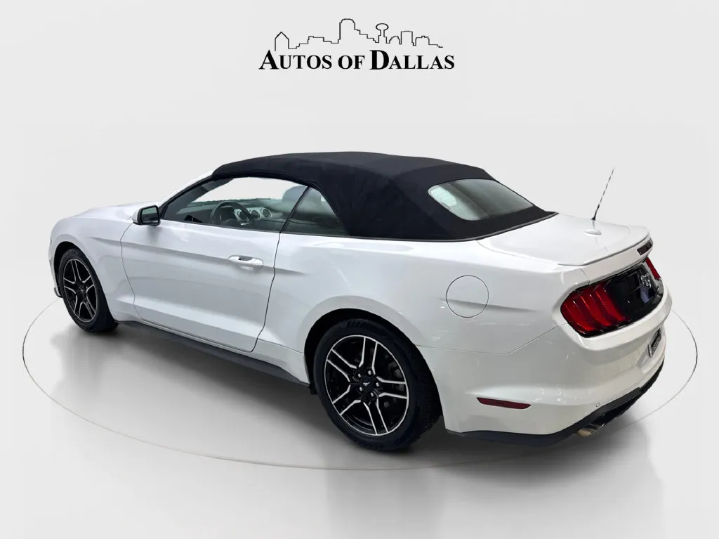 Ford Mustang photo 26