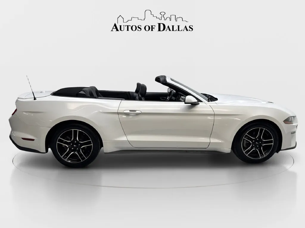 Ford Mustang photo 11