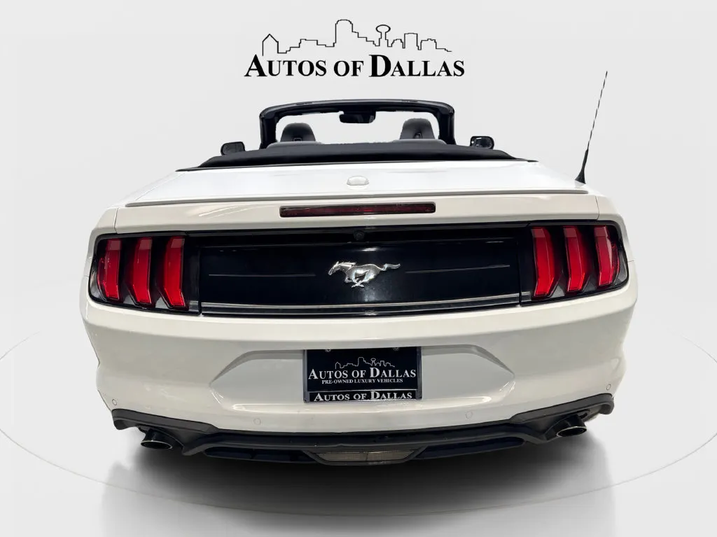 Ford Mustang photo 8