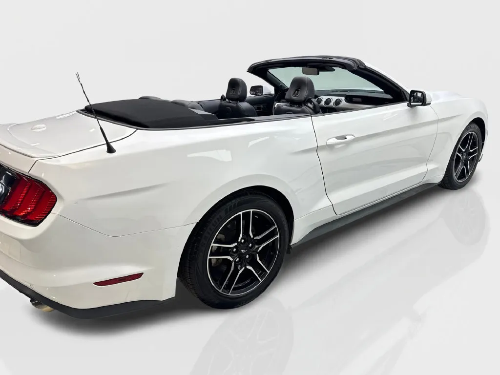 Ford Mustang photo 16