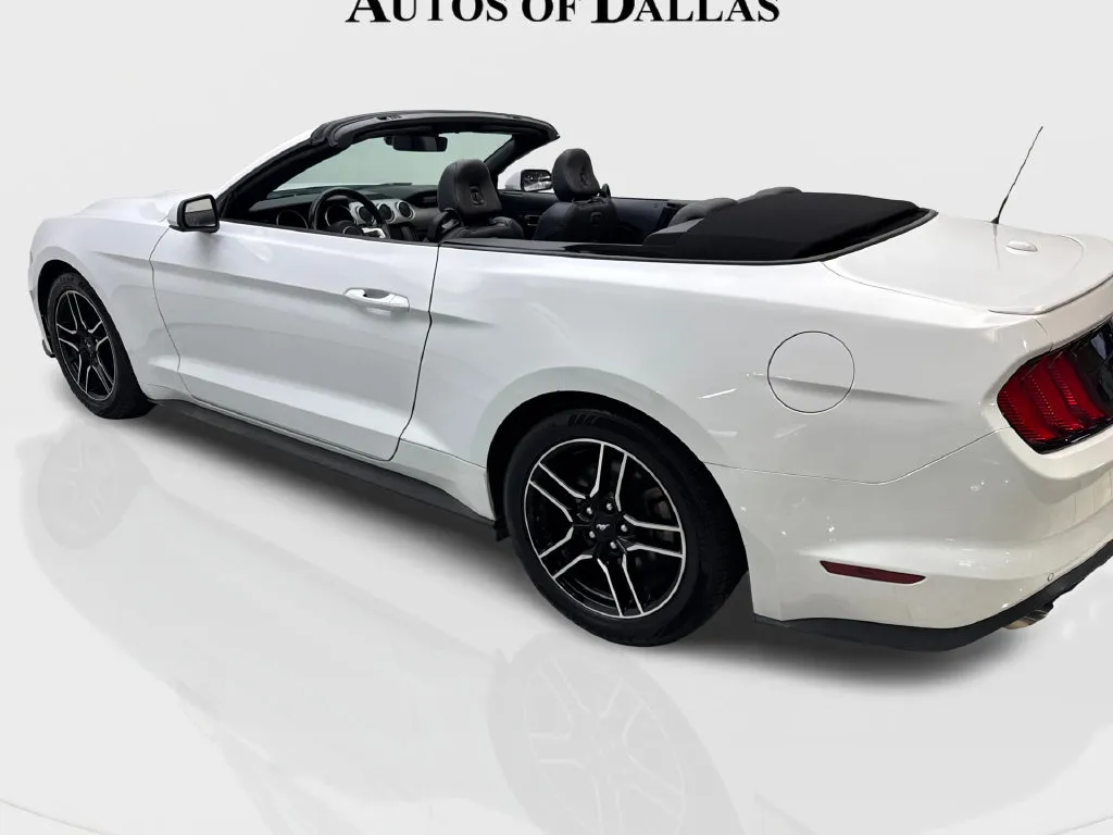 Ford Mustang photo 15