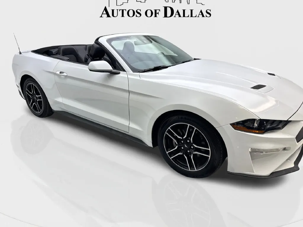 Ford Mustang photo 7