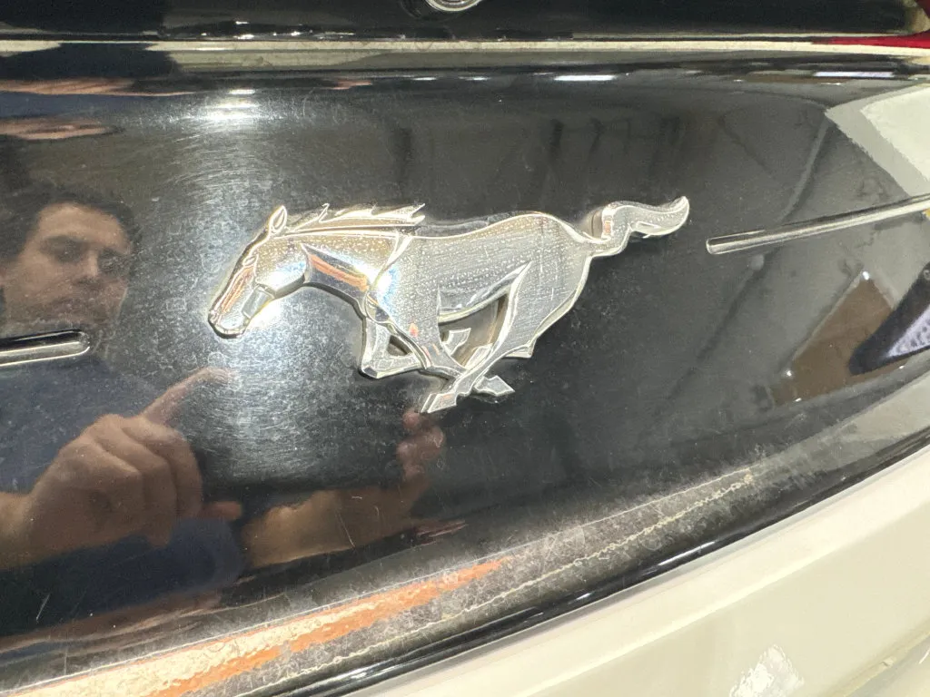 Ford Mustang photo 28