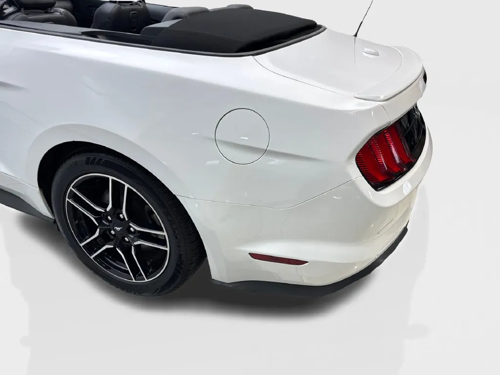 Ford Mustang photo 18