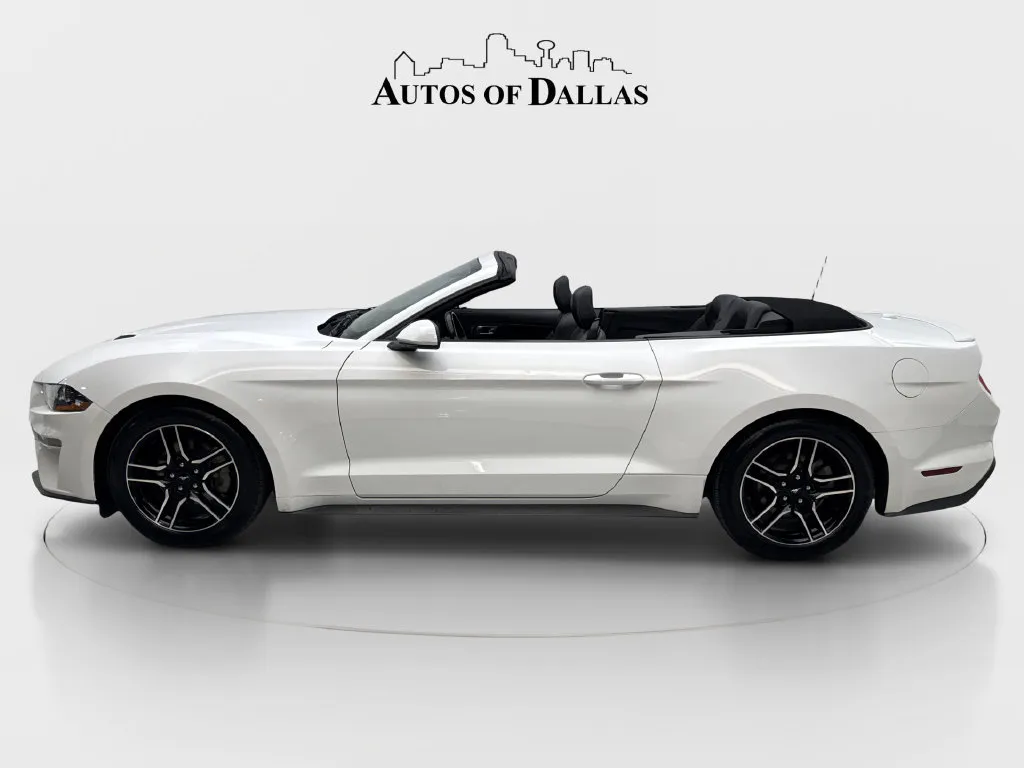 Ford Mustang photo 6