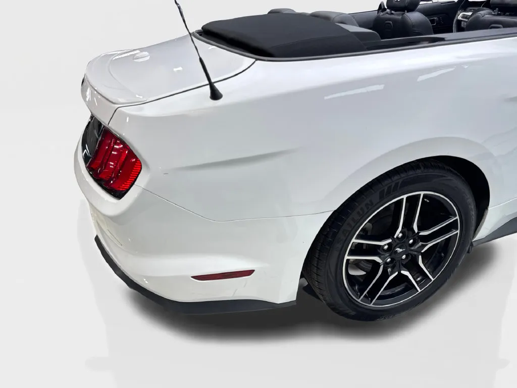 Ford Mustang photo 19