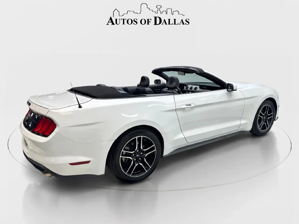 Ford Mustang photo 14