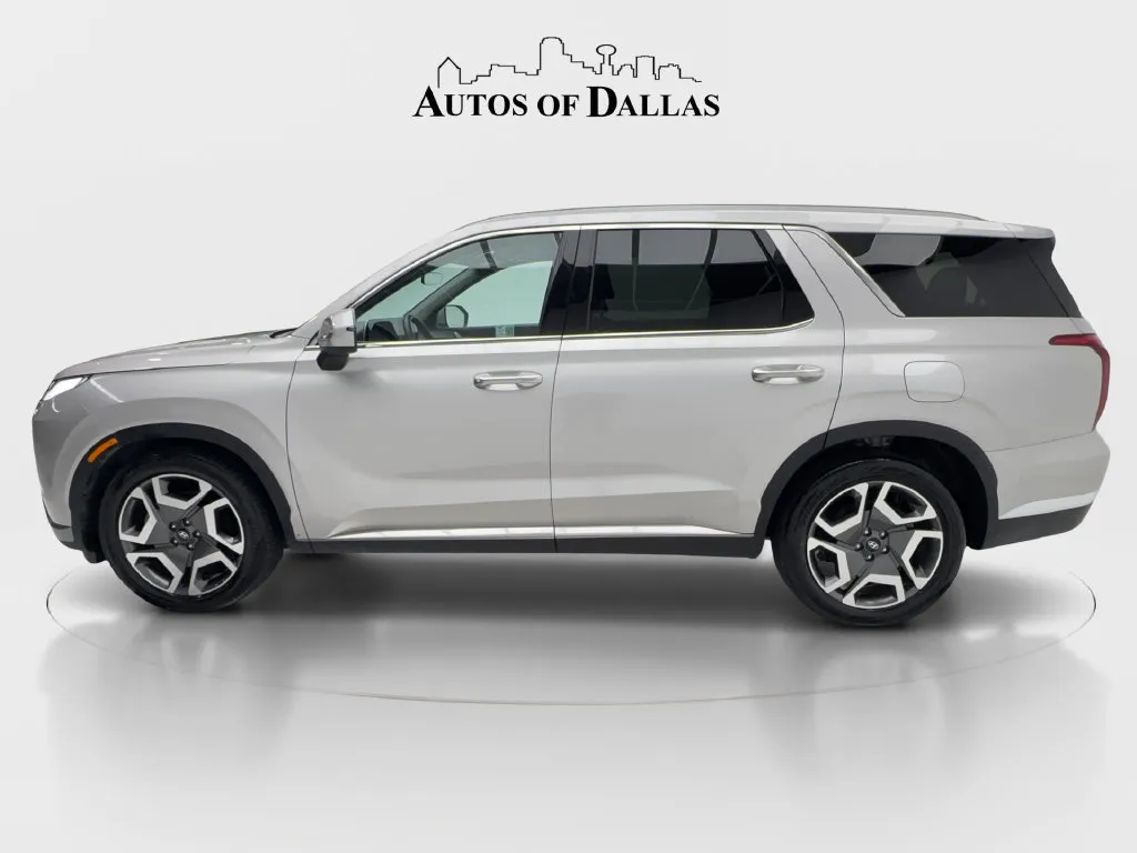 Hyundai Palisade photo 6
