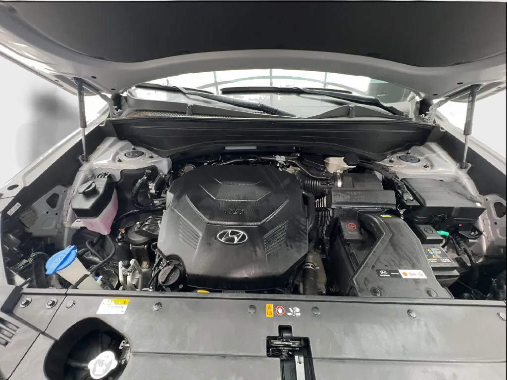 Hyundai Palisade photo 19