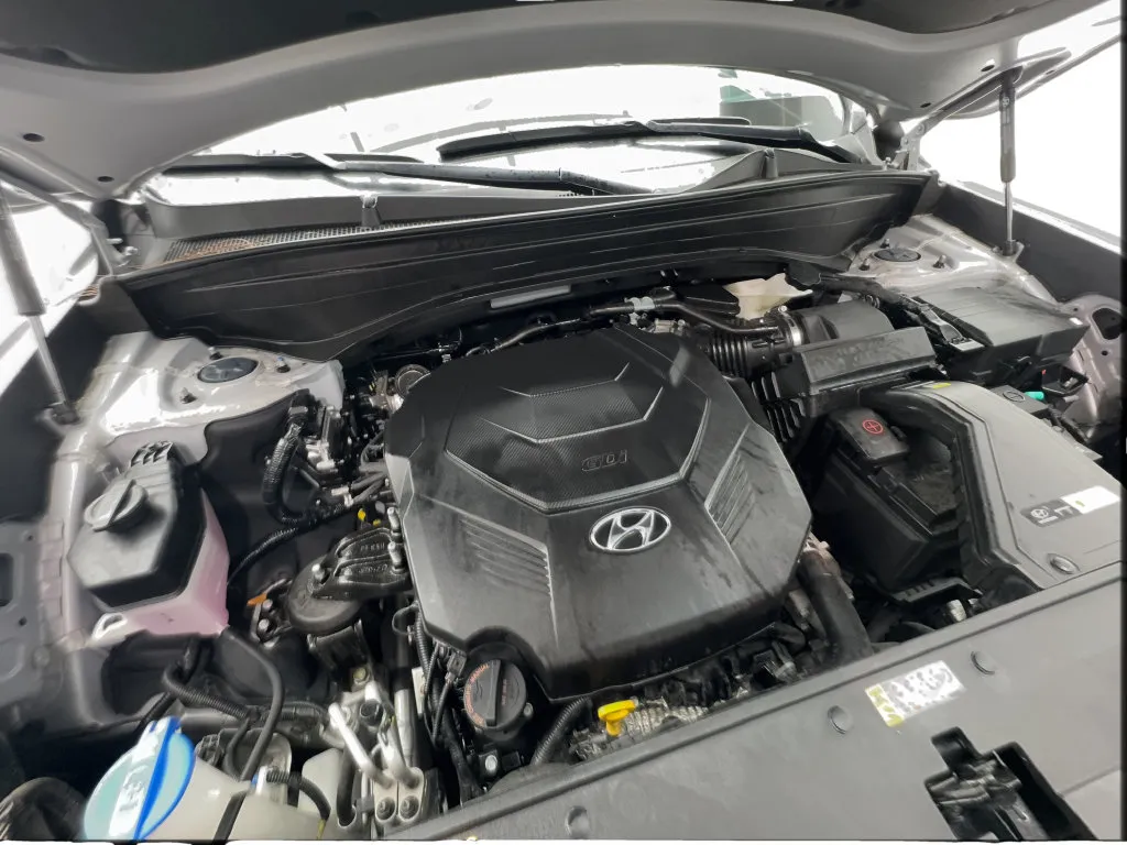 Hyundai Palisade photo 20
