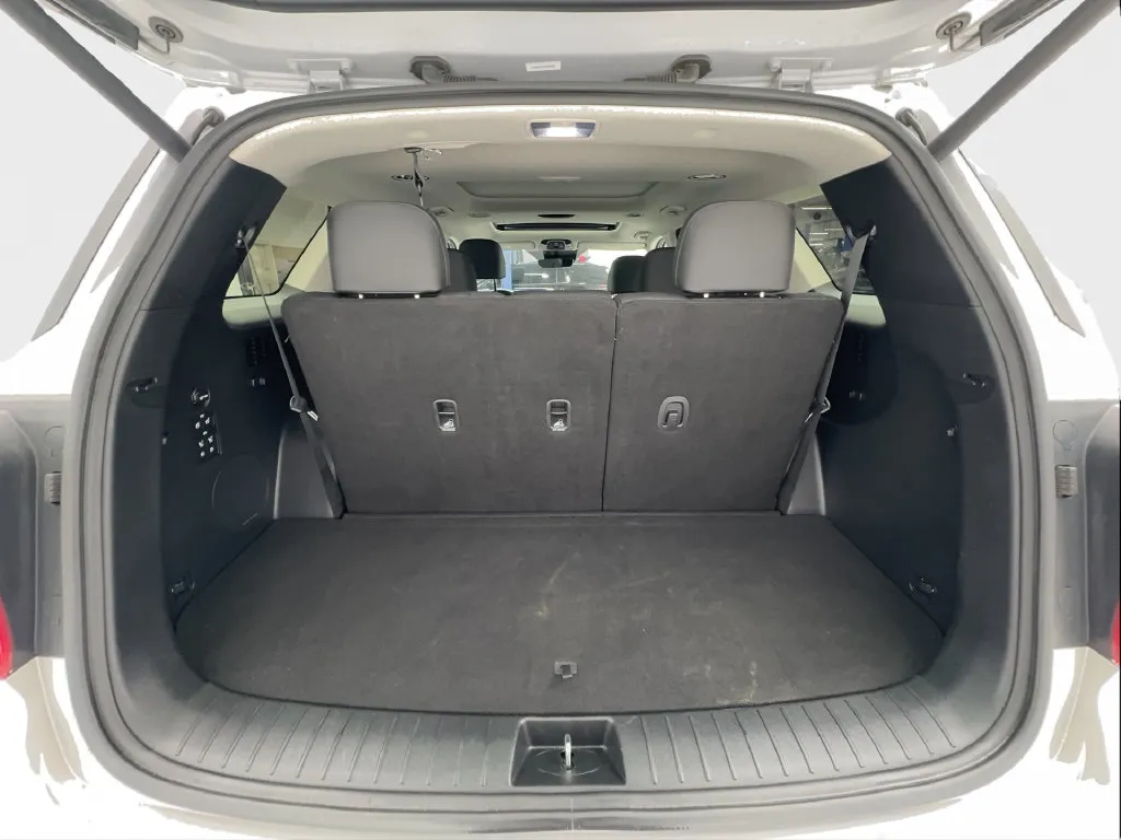 Hyundai Palisade photo 18