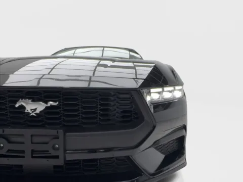 More photos of 2025 Ford Mustang EcoBoost at Autos of Dallas - Plano, TX