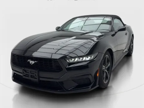 More photos of 2025 Ford Mustang EcoBoost at Autos of Dallas - Plano, TX
