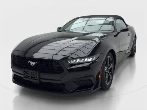 More photos of 2025 Ford Mustang EcoBoost at Autos of Dallas - Plano, TX