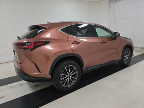 Another view of 2025 Lexus NX 250 Base for sale in Plano, TX at Autos of Dallas - Plano