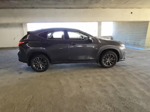 Photos of 2024 Lexus NX 250 Base for sale in Plano, TX at Autos of Dallas - Plano