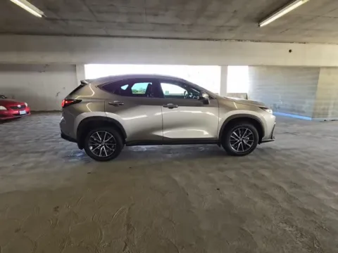 Photos of 2025 Lexus NX 250 Base for sale in Plano, TX at Autos of Dallas - Plano