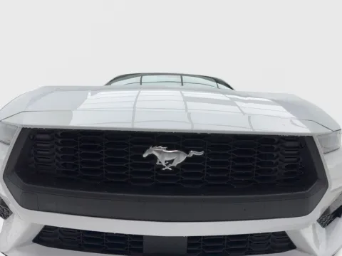 More photos of 2026 Ford Mustang EcoBoost Premium at Autos of Dallas - Plano, TX