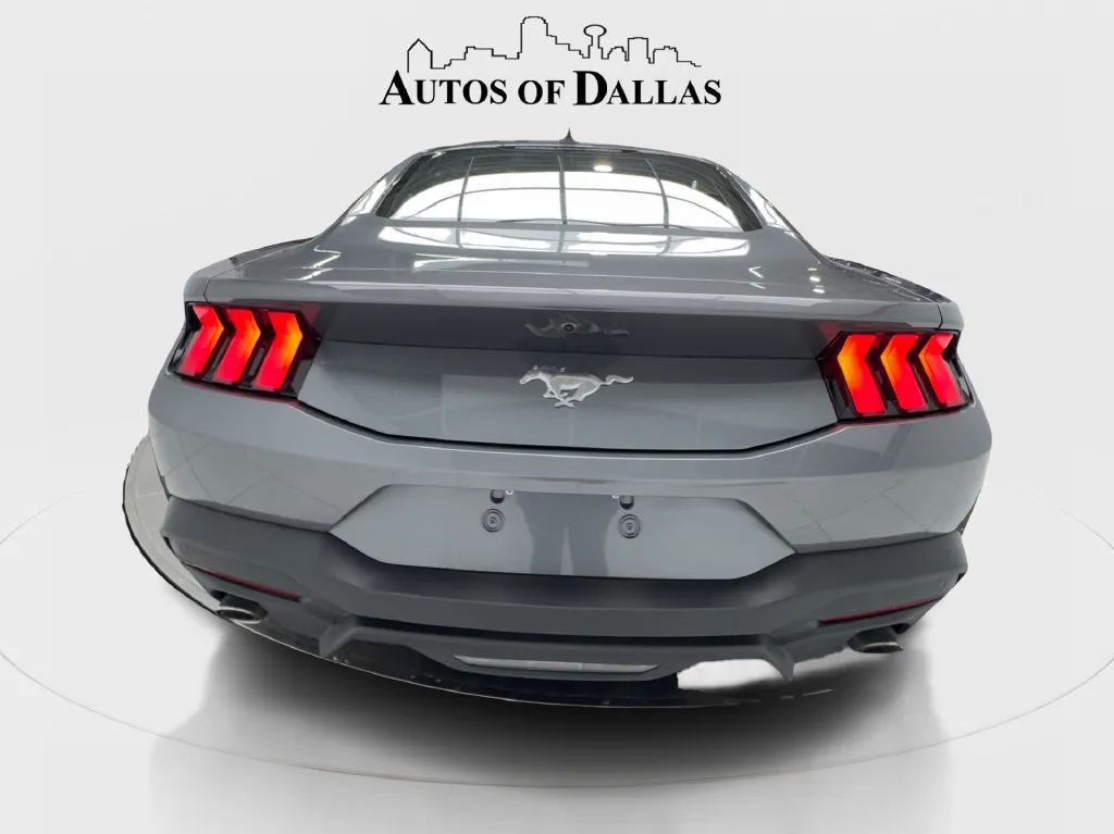 Ford Mustang photo 11