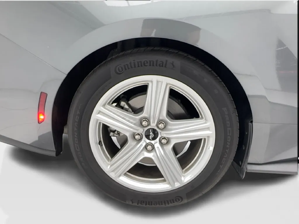 Ford Mustang photo 18
