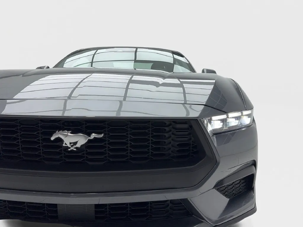 Ford Mustang photo 5