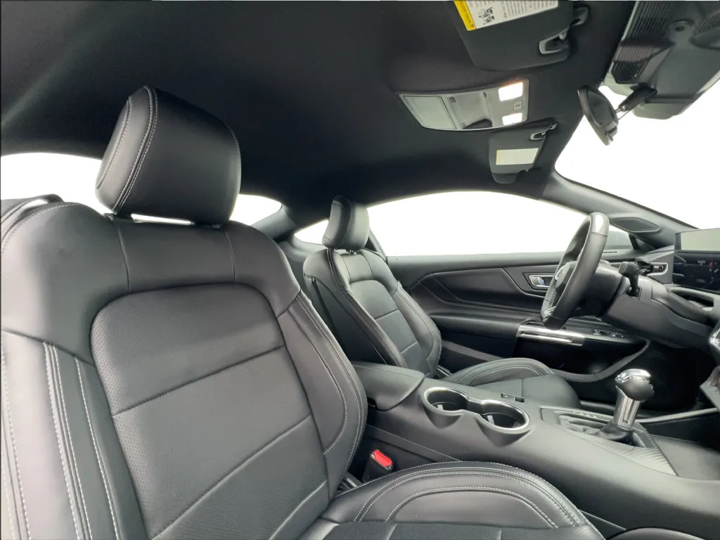 Ford Mustang photo 28