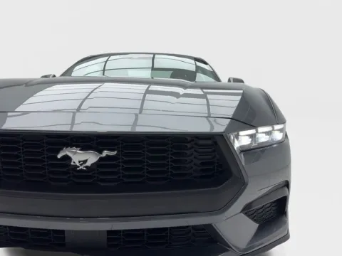 More photos of 2026 Ford Mustang EcoBoost Premium at Autos of Dallas - Plano, TX