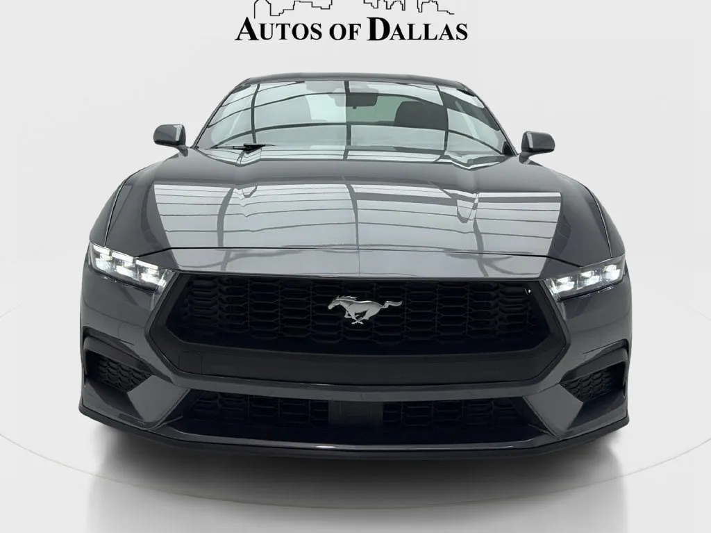 Ford Mustang photo 4