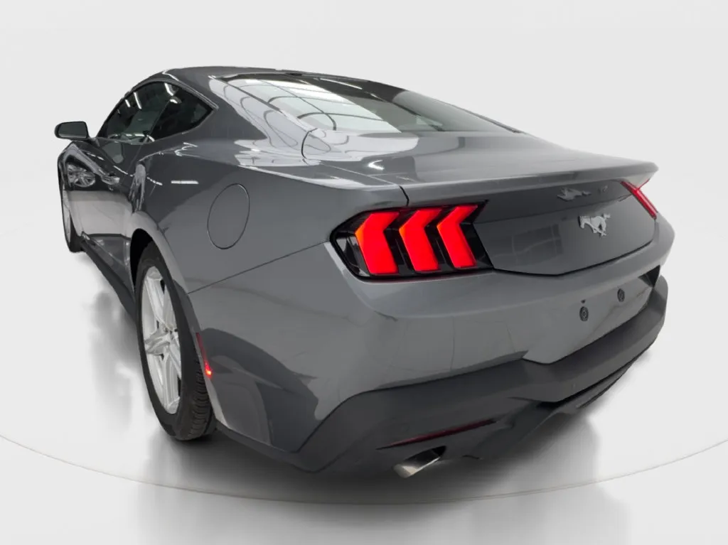 Ford Mustang photo 12